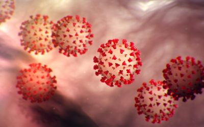 Coronavirus Update