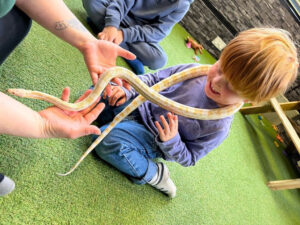 Animal Event in Chesterfield