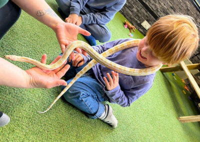 Animal Event in Chesterfield