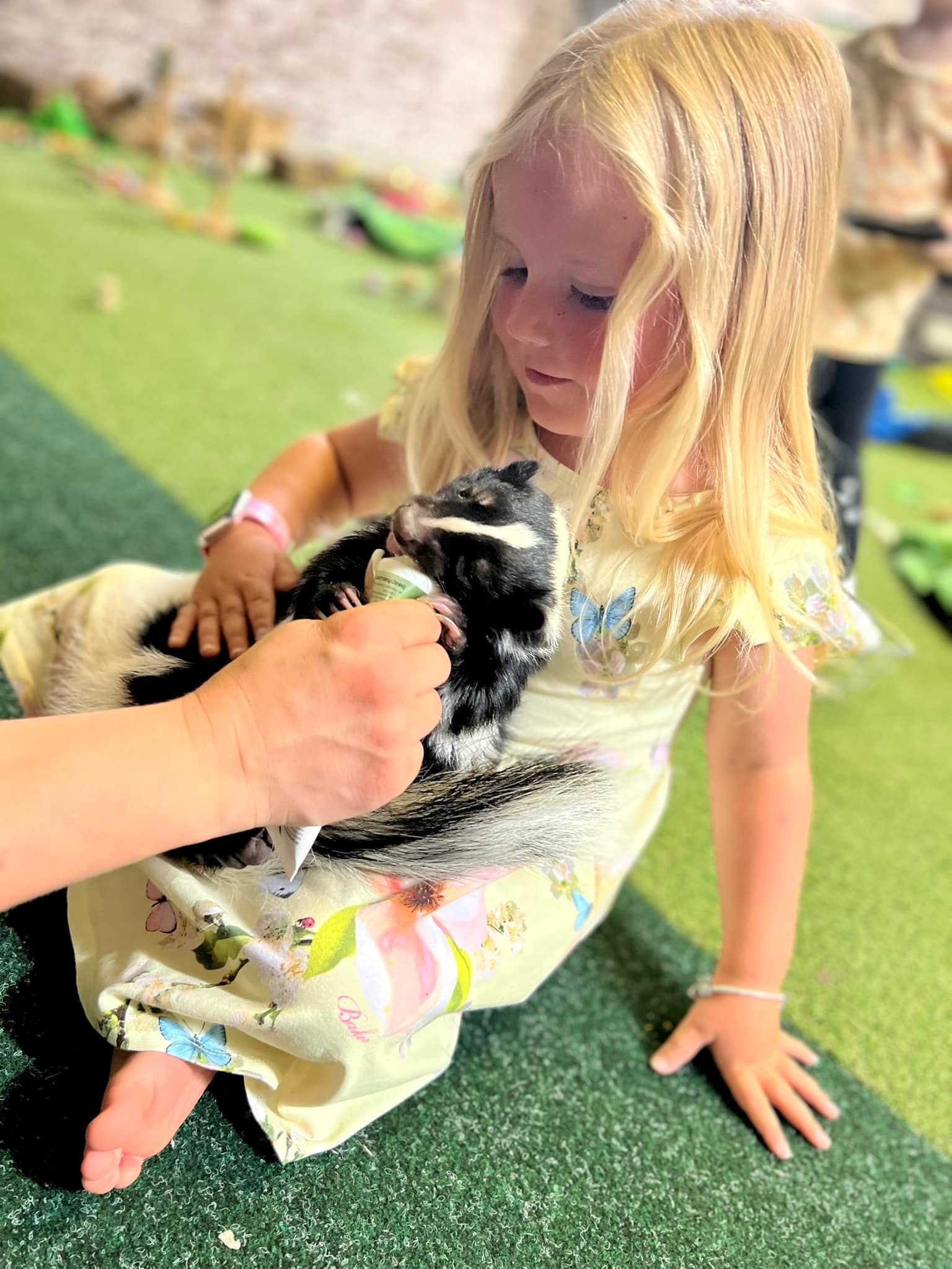 Easter Animal Event with Leanimals – Play Centre in Chesterfield
