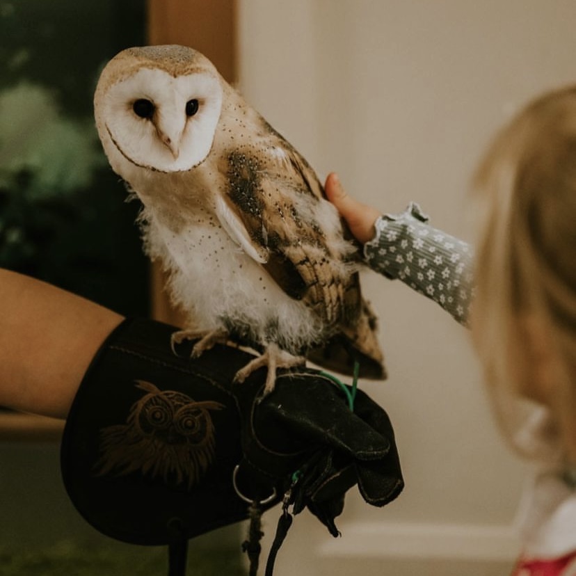 Animal Event for Children