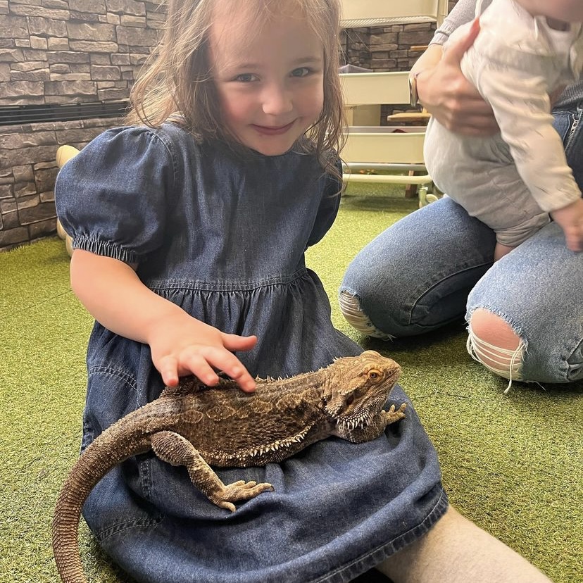 Spyro the Bearded Dragon