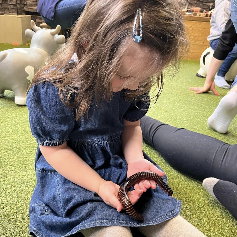 Mille & Mollie the Millipede