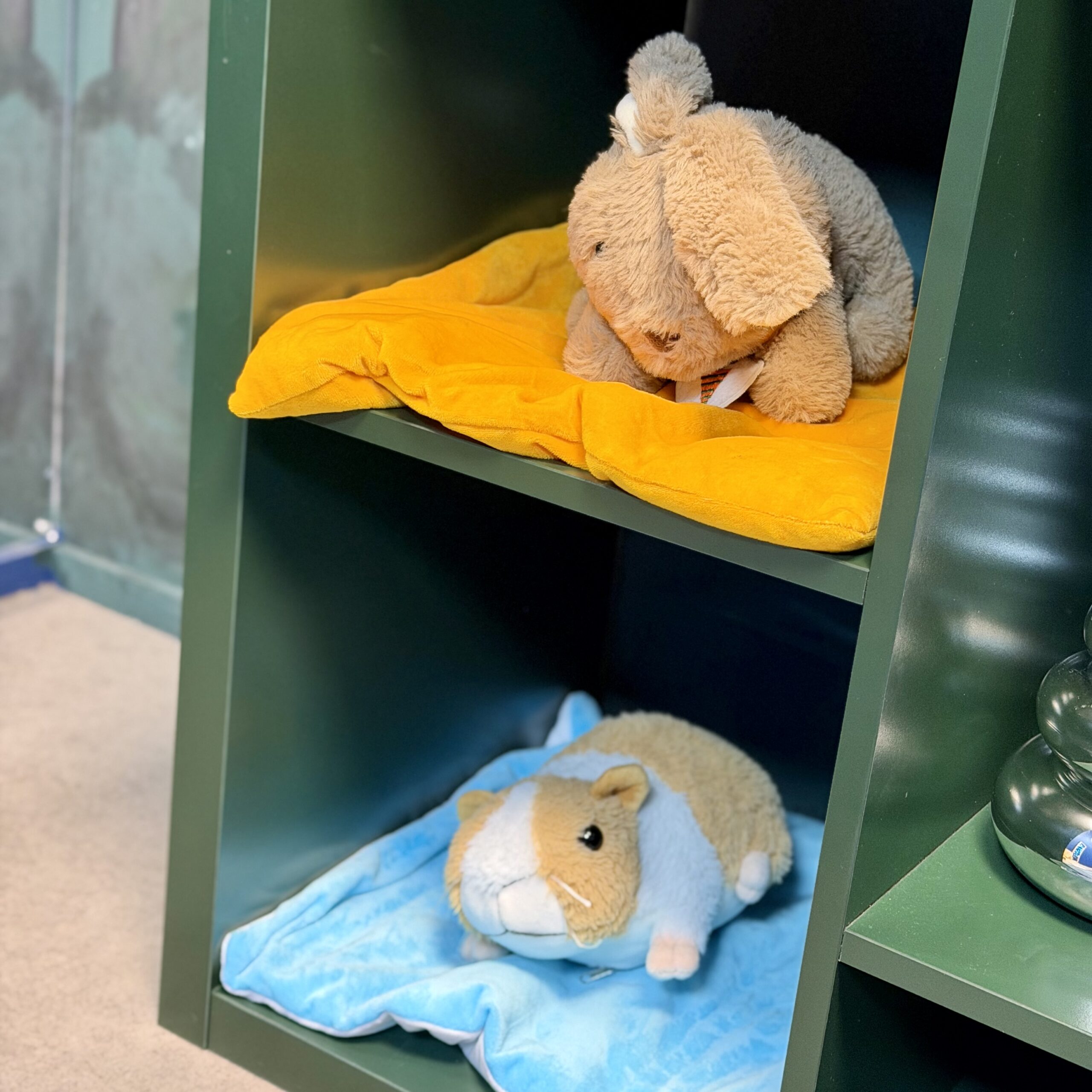Sensory Resources